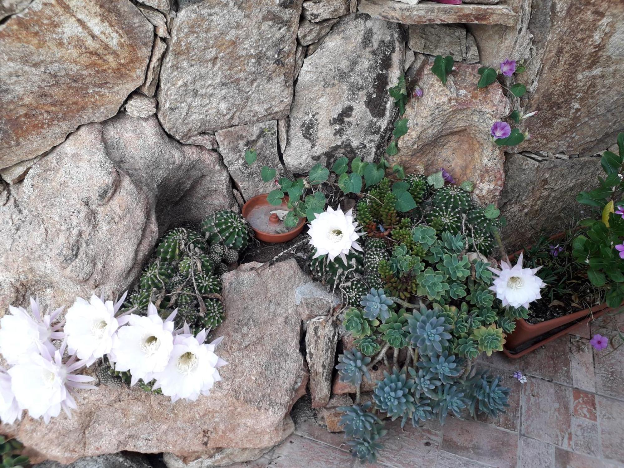Exclusive House * Cala Gonone